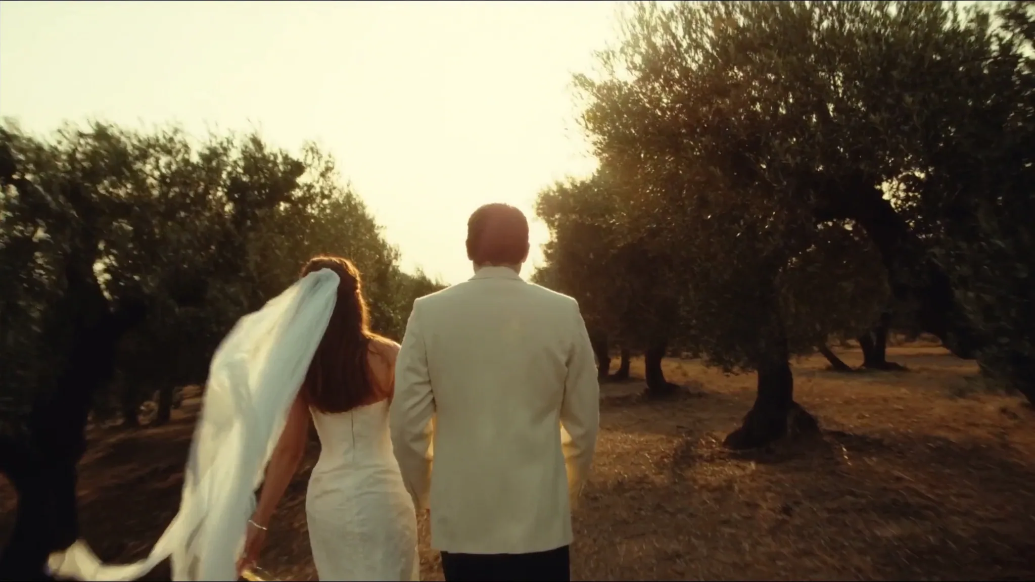 Couple de mariés marchant main dans la main dans une oliveraie au coucher du soleil